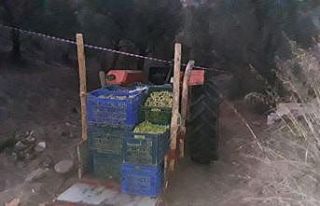 Ölüm yaşlı adamı traktör üzerinde yakaladı