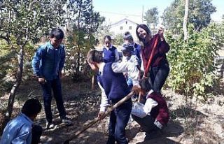 Özalplı öğrenciler ektikleri ürünlerin hasadına...