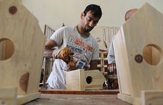 Özel bireylerin elinden Kuşlara ev