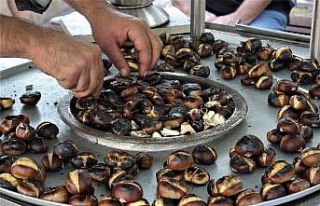 (Özel) Dalında 10 lira, mangalda 70 lira