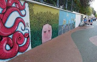 (Özel) Kadın muhtar caddeyi karanlık bulunca duvarlarını...