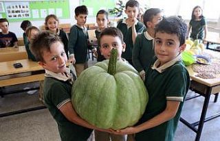 (Özel) Öğrencilerden 42 kiloluk bal kabağı