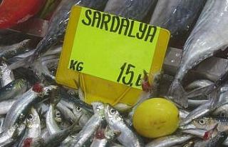 Sardalyanın kilosu 15 liraya düştü