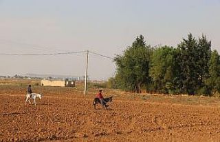 Rasulayn’da artık çocuklar gülüyor