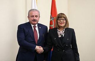 Şentop, Sırbistan Ulusal Meclis Başkanı Gojkoviç...