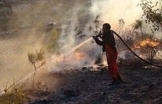 Silifke’de otluk alanda çıkan yangın evleri teğet...
