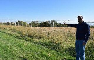 Stat ilgisizlikten meraya döndü