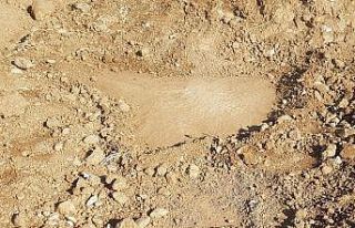 Tarlayı sürerken mozaik buldu