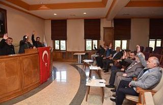 Taşköprü Belediye Meclisi, harekata destek verdi