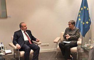 TBMM Başkanı Şentop, AKPM Başkanı Pasquier ile...