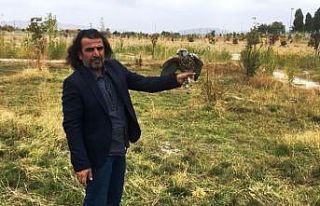 Tedavileri tamamlanan kuşlar yaşam alanlarına bırakıldı