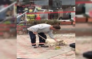 Temizlik işçisine süpürge ile kendini temizleten...