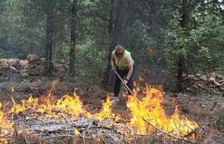 Türkiye’nin ilk sivil orman yangını söndürücüleri