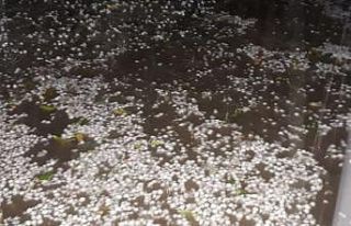 Yavuzeli’nde nohut büyüklüğünde dolu