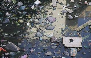 Zergan deresine atılan çöpler, hayvanların hayatını...