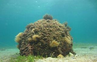 1. Dünya Savaşı’ndan kalma mühimmat imha edildi