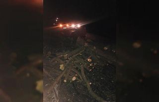 Ağaç yüklü traktör ile otomobil çarpıştı:...