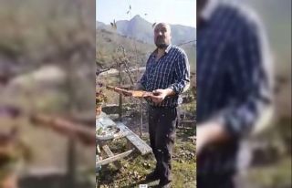 Arılara meydan okudu