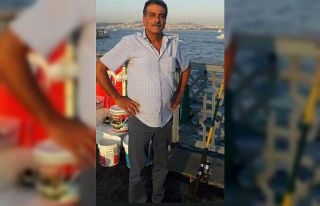 Arının soktuğu adam hayatını kaybetti