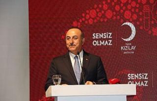 Bakan Çavuşoğlu: "Terör devleti kurmak isteyenlerin...