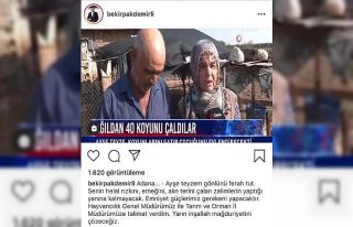 Bakan Pakdemirli’den koyunları çalınan Ayşe...