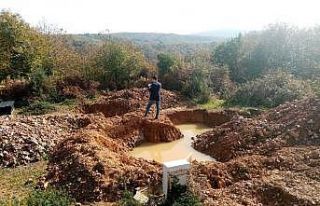 Beykoz Anadolu Kavağı’nda definecilere operasyon...