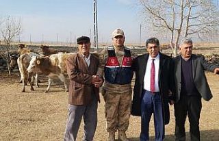 Çalınan hayvanlar sahibine teslim edildi