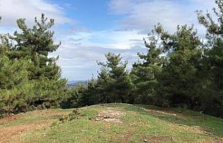 Cinayete kurban giden kayıp şahsın cesedi bulundu