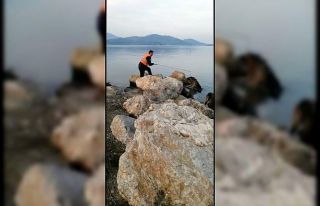 Denize düşen köpek itfaiye tarafından kurtarıldı