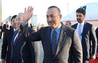 Dışişleri Bakanı Çavuşoğlu, Japon mevkidaşı...