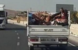 Eşyalarla tehlikeli yolculuk