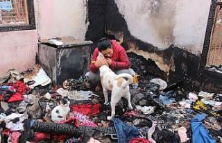 Evleri yanınca 15 kedi ve 2 köpeğiyle evsiz kaldı