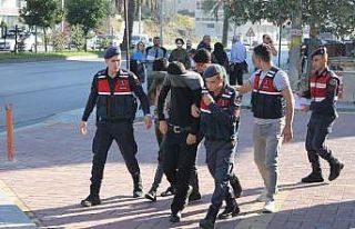 Girdikleri bahçeden 30 bin TL değerinde 10 bin avakado...