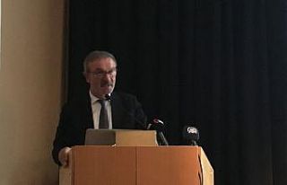 Göbeklitepe, İsveçlilere tanıtıldı