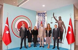 Güzellik kraliçesinden adliye ziyareti