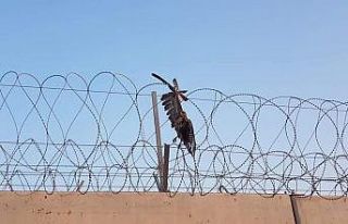 Hudut tellerine takılan şahinin imdadına Mehmetçik...