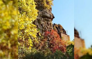 Irak sınırında sonbahar cümbüşü