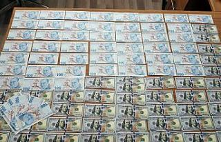 İstanbul merkezli sahte para operasyonunda 12 tutuklama