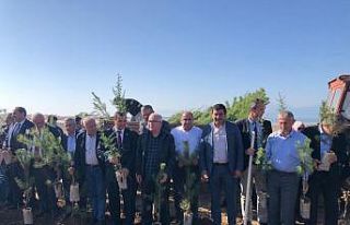 İstanbullu muhtarlar Hüyük’te fidan dikti