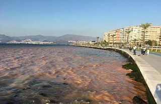 İzmir’de denizin rengi değişti, vatandaşlarda...