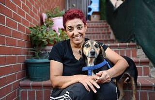 Kanserli köpek hem sağlığına hem yuvaya kavuştu