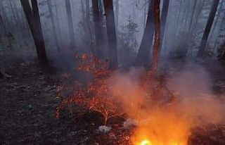 Kastamonu’da 4 hektarlık ormanlık alan yandı