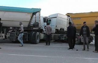 Kediyi ezmek istemeyen tır sürücüsü, tırla çarpıştı:...