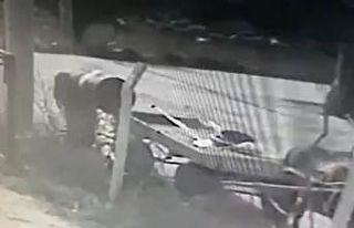 Kendi mallarıymış gibi aldılar