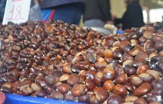 Kestane bu yıl el değil, cep yakıyor