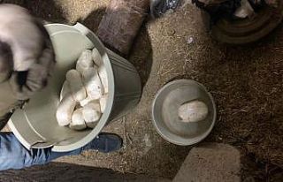 Kıran-6 Operasyonu’nda 2 ton patlayıcı ele geçirildi