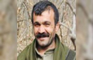 4’er milyon TL ödülle aranan 2 terörist etkisiz...