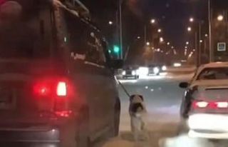 Komşusuna kızdı, köpeğini buz tutan yolda yürüttü