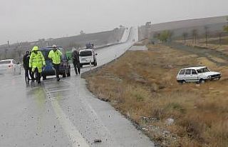 Köpeğe çarpan otomobil şarampole yuvarlandı:...