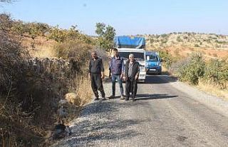 Kurt dehşetinden kaçan koyunlardan 155’i bulundu